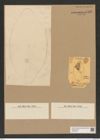 Diatomeae indet. Zeichnungen Sammlung Grunow Nr. 7592 (NHMW-BOT-W0376753)